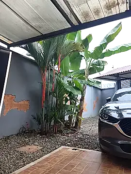 Mavi_roouse_ – webcam model profile photo